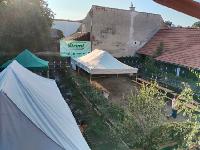 Výstava 2024