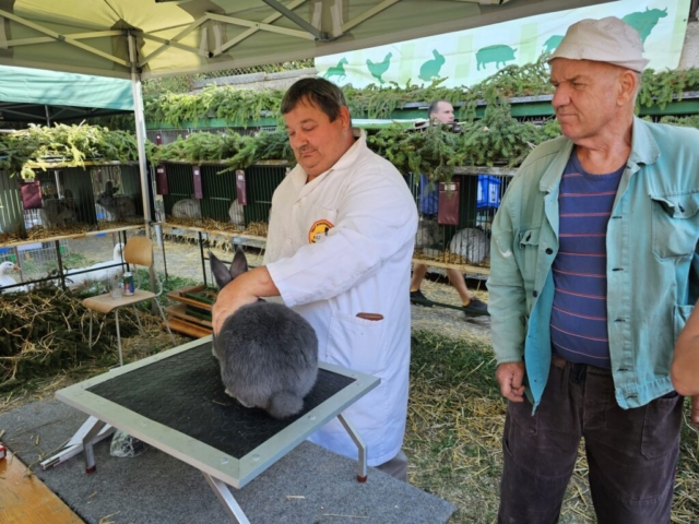 Výstava 2024