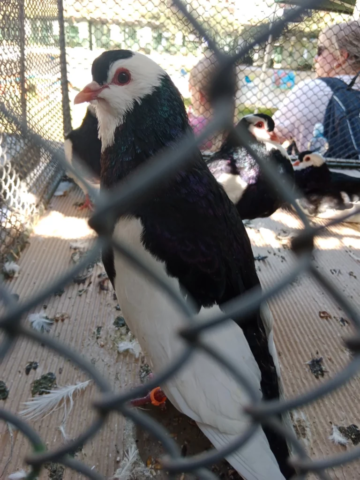 IMG_20230909_121518