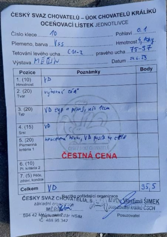 Lukáš Břenek ČC